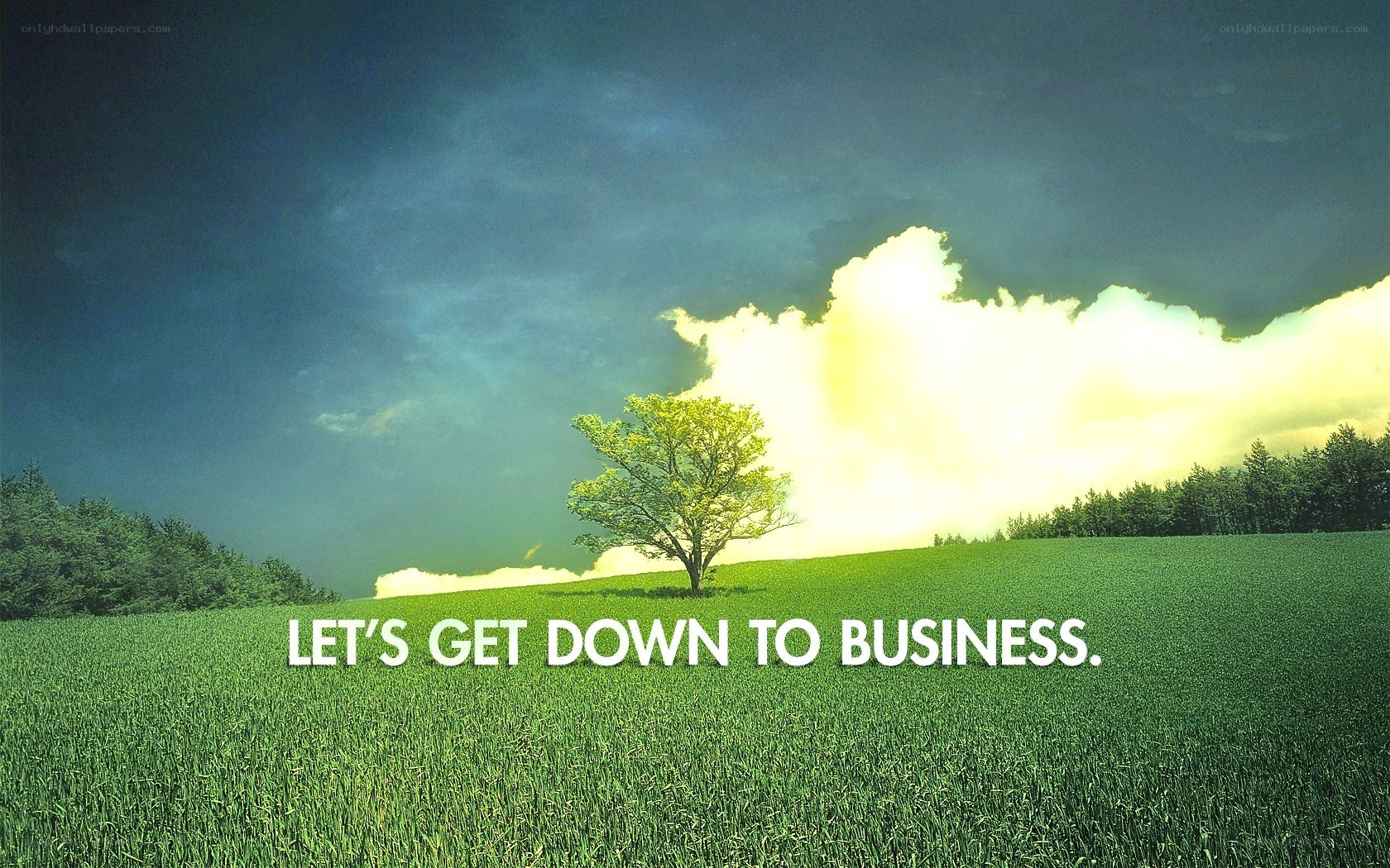 Let's Get Down to Business