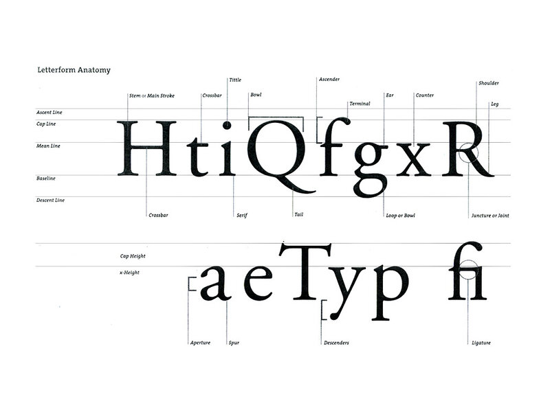 Letterform anatomy diagram