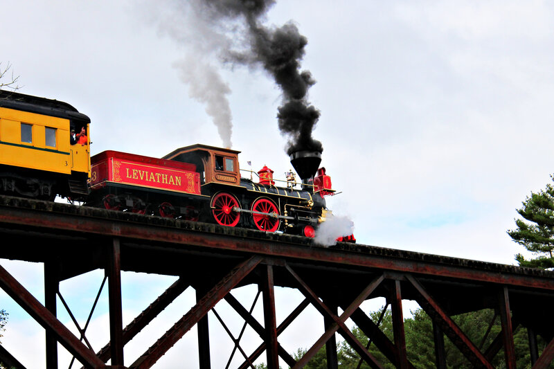 Leviathan Steam Train