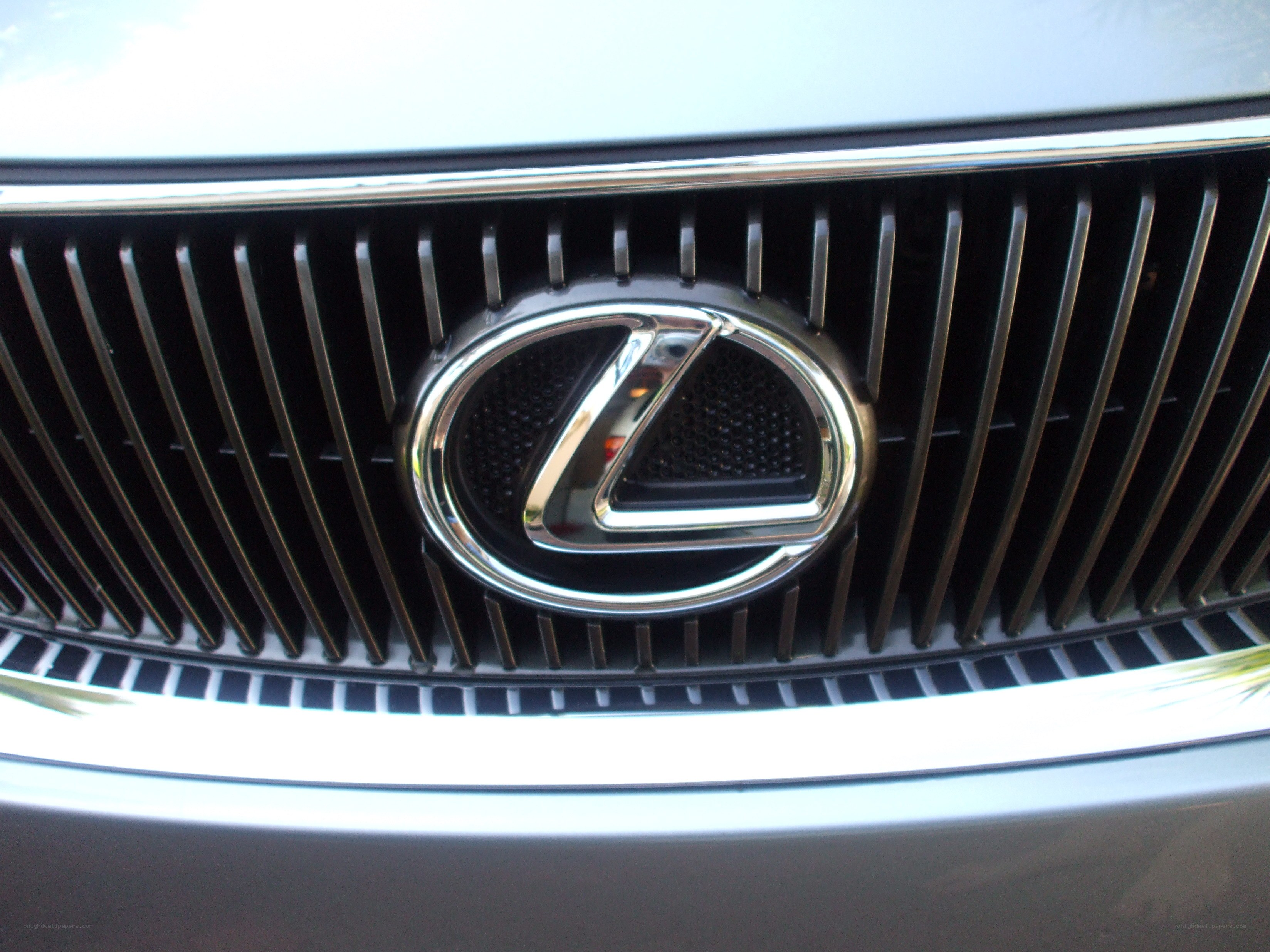 Lexus car emblem close-up