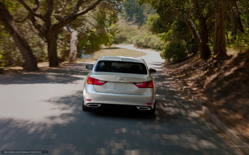 Lexus driving on a tree-lined road