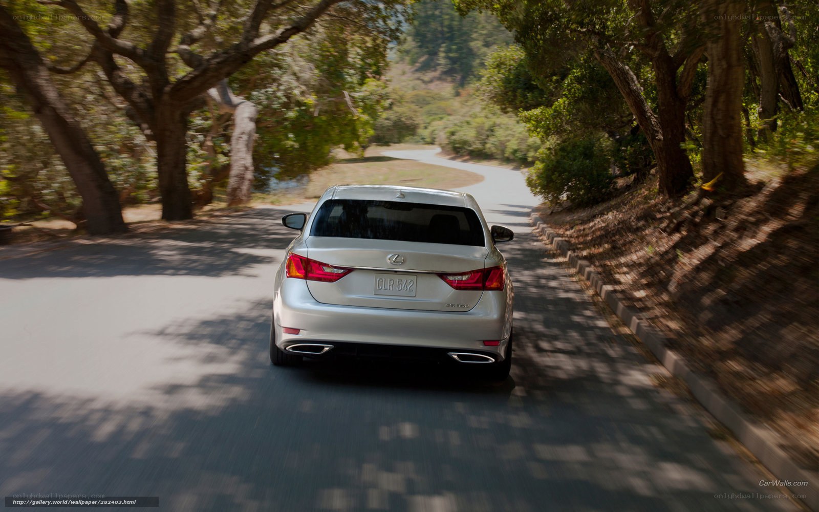 Lexus driving on a tree-lined road