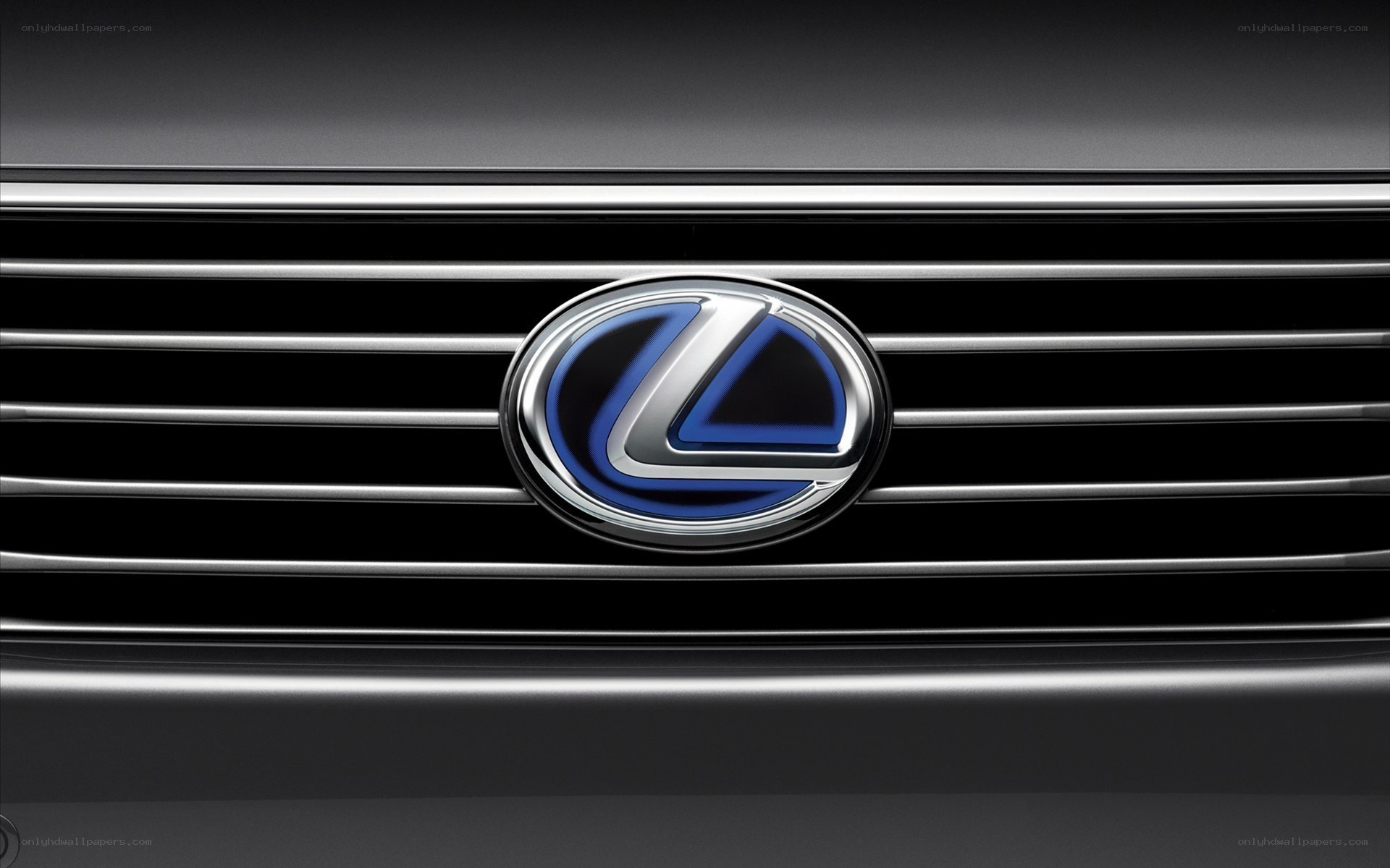 Lexus emblem on car grille