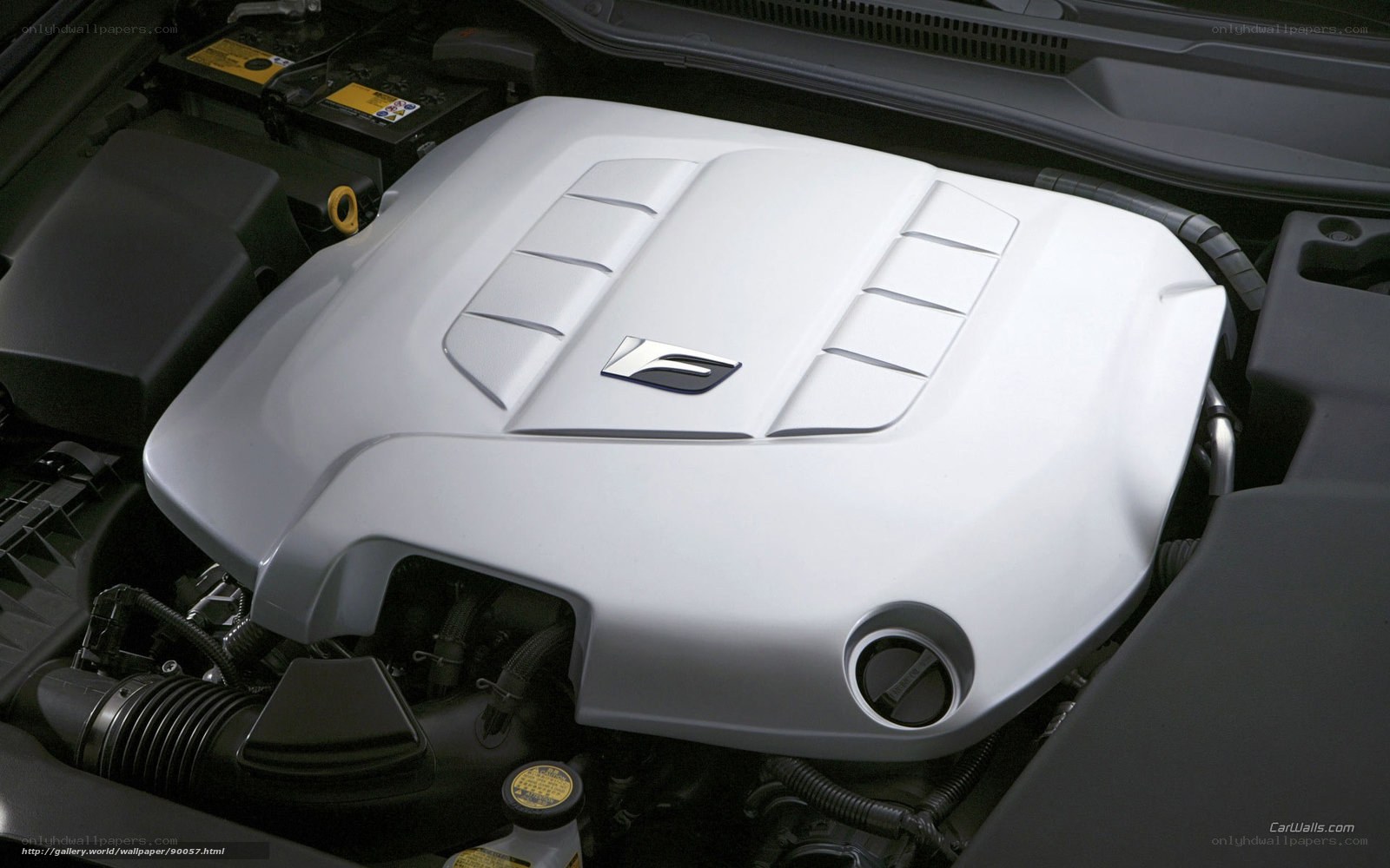 Lexus engine cover