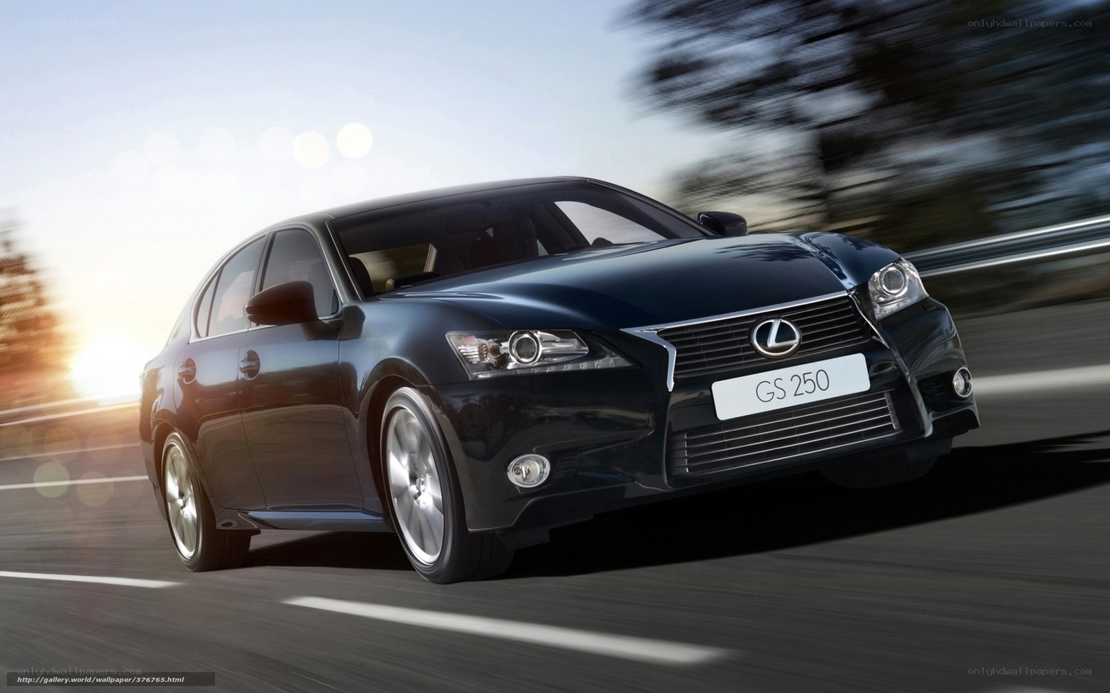 Lexus GS 250 in motion