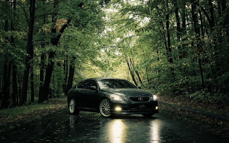 Lexus GS in a forest