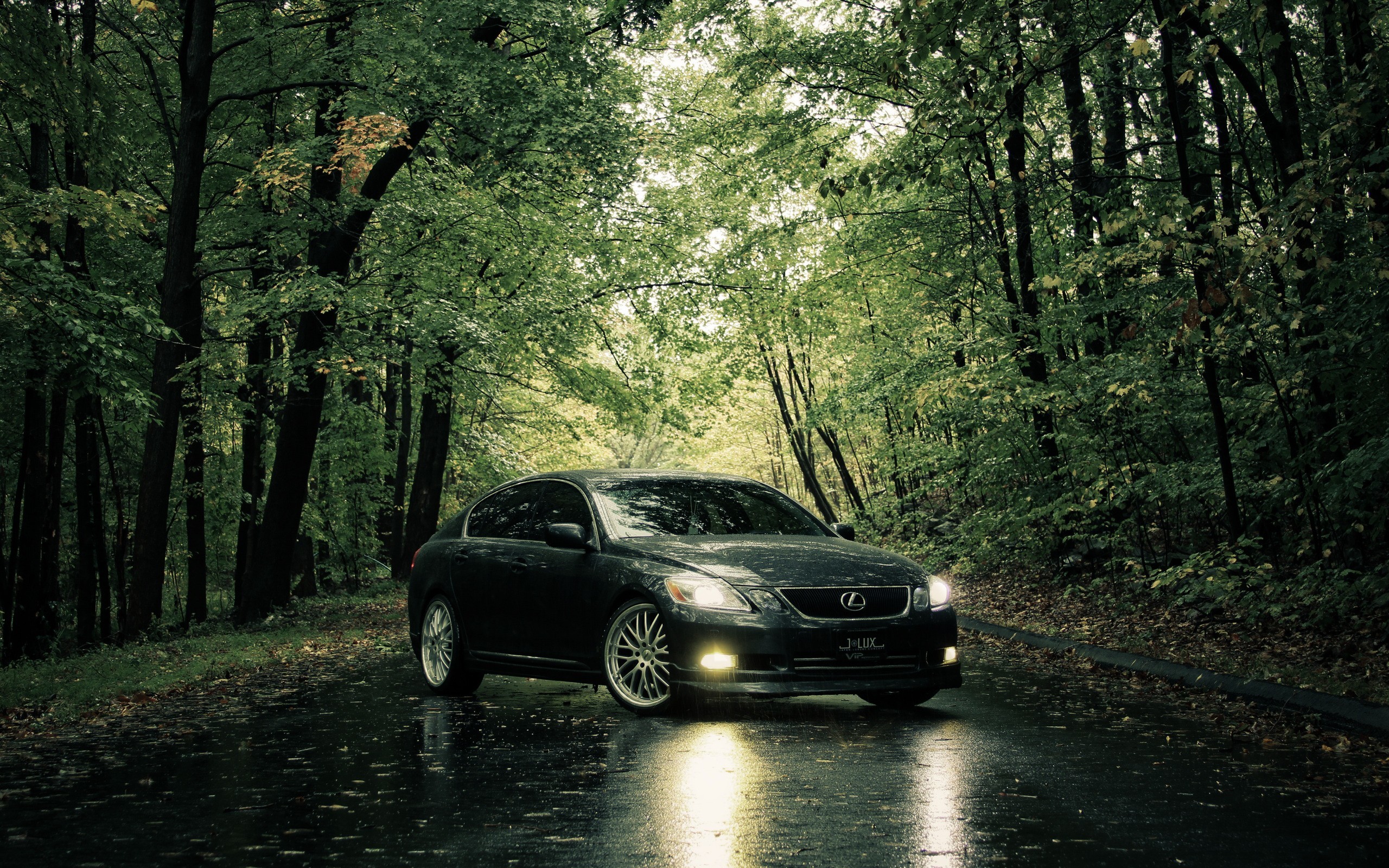 Lexus GS in a forest