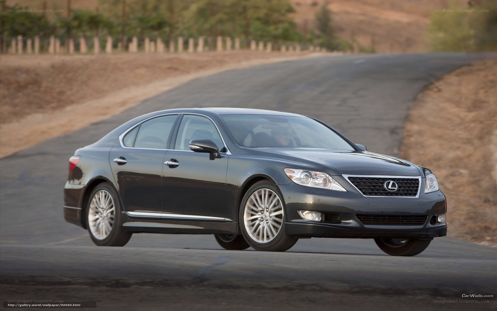 Lexus LS on a winding road