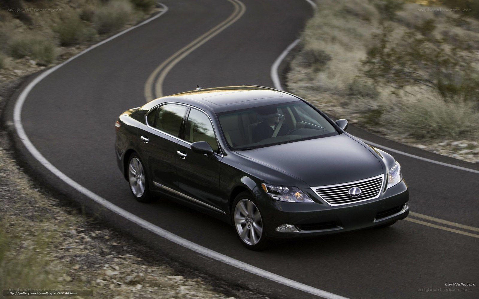 Lexus LS on winding road