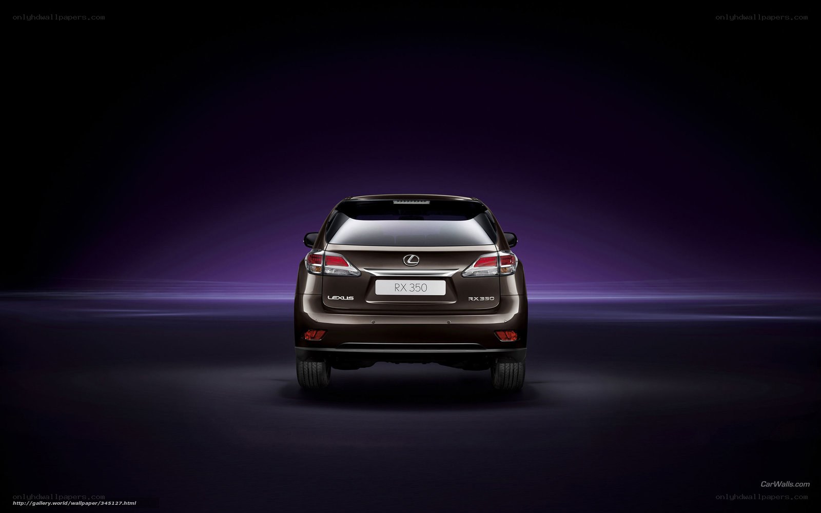 Lexus RX 350 rear view