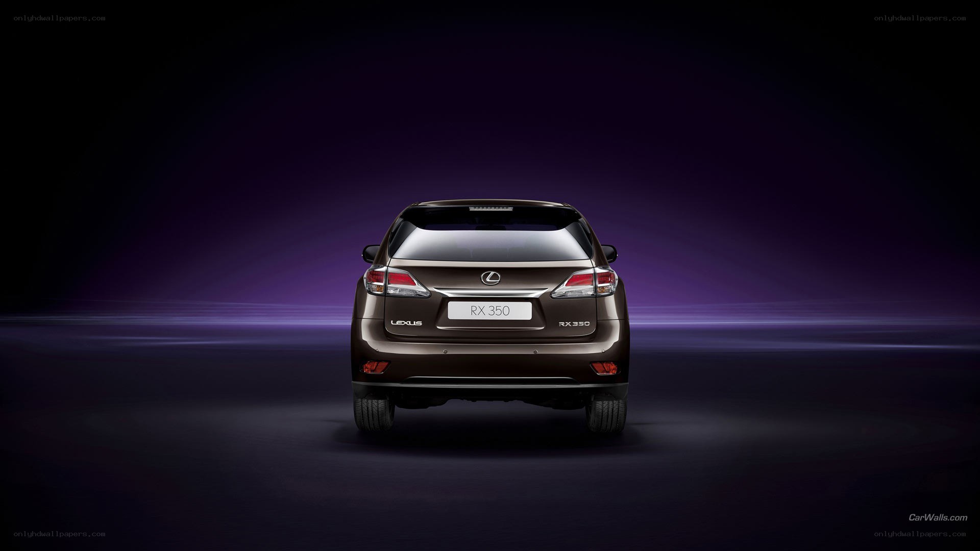 Lexus RX 350 rear view