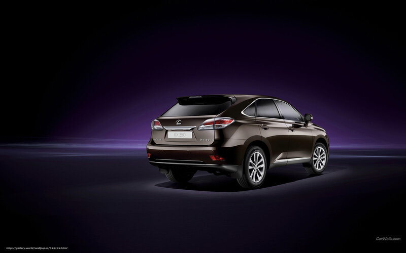 Lexus RX 350 rear view