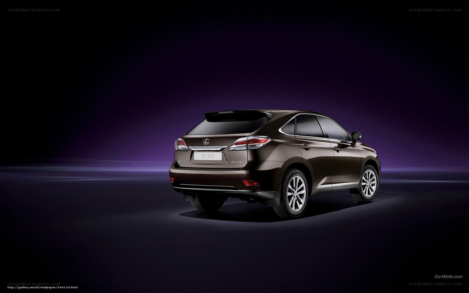 Lexus RX 350 rear view