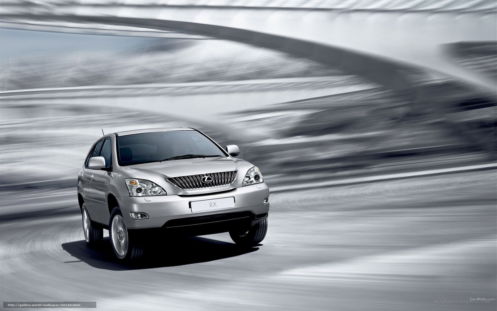Lexus RX in motion