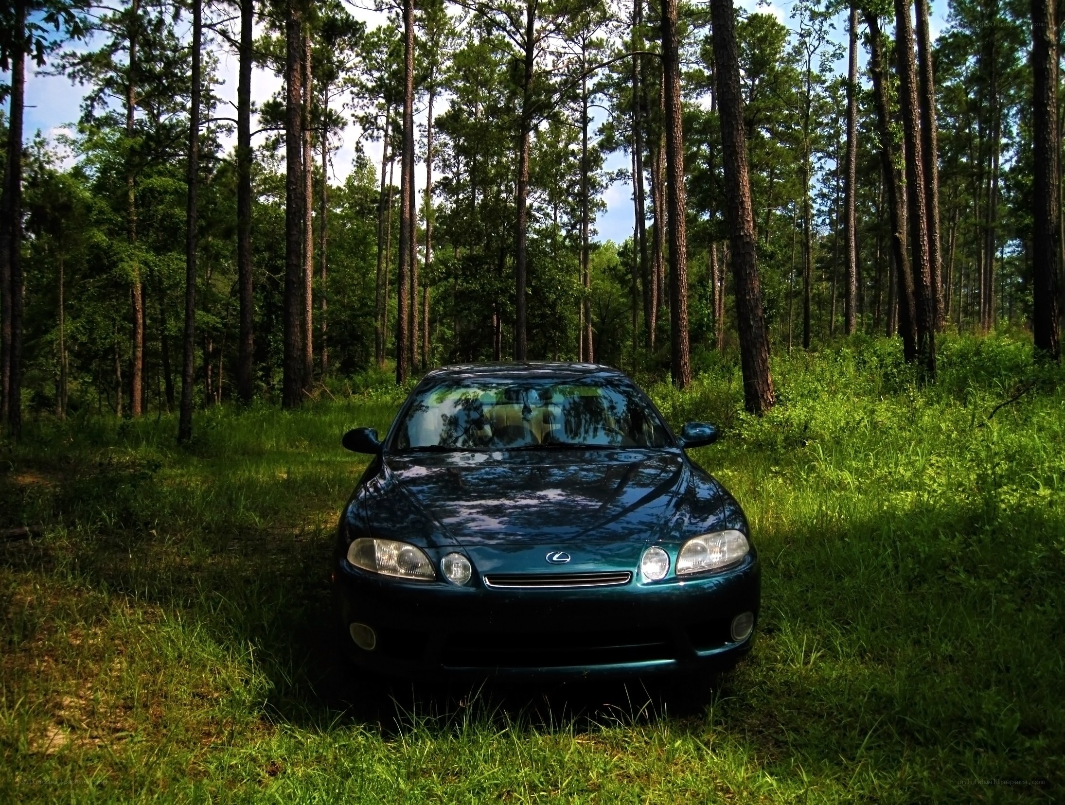 Lexus SC400 in a forest clearing