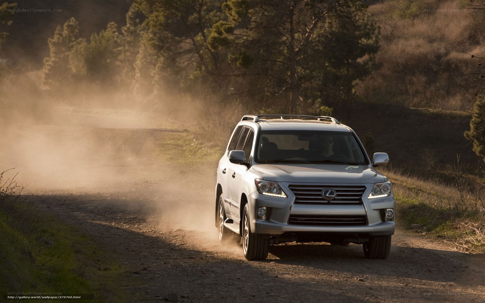 Lexus SUV on a dusty road