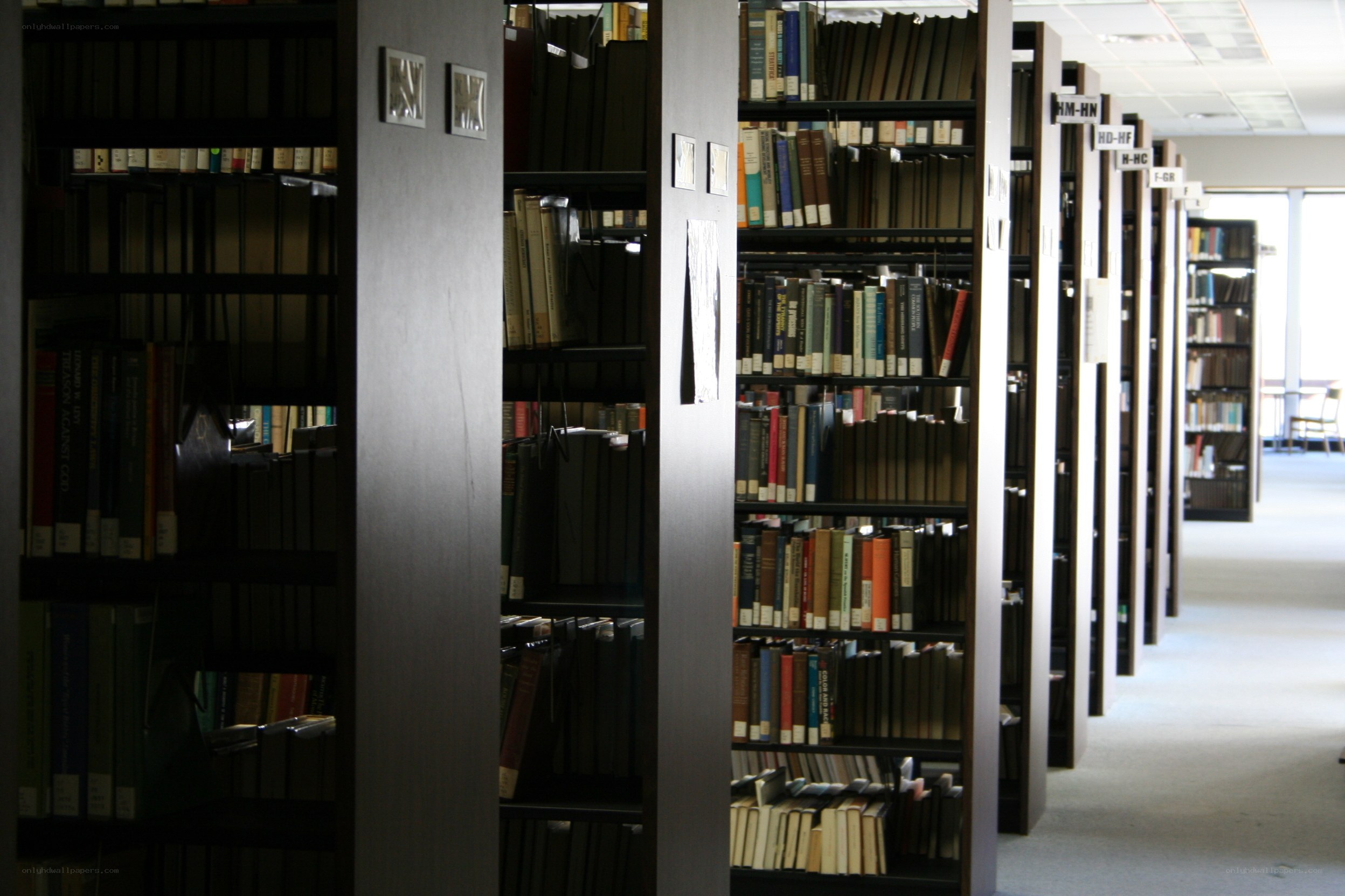 library bookshelves in a row