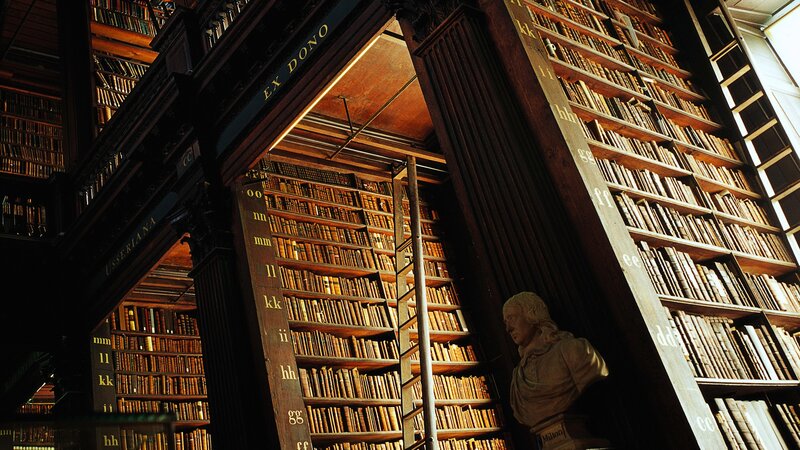Library with Bookshelves — Brown, Dramatic, Photograph, Bookshelf, Bust Statue