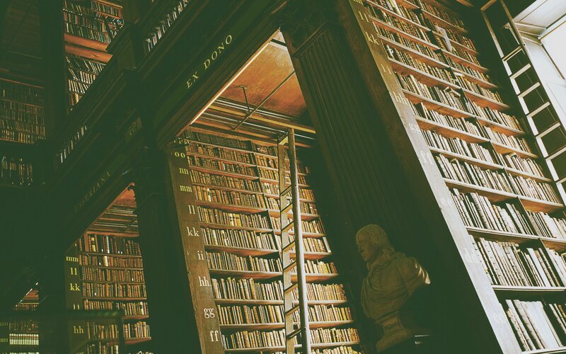 Library with Bookshelves — Brown, Dramatic, Photograph, Bookshelf