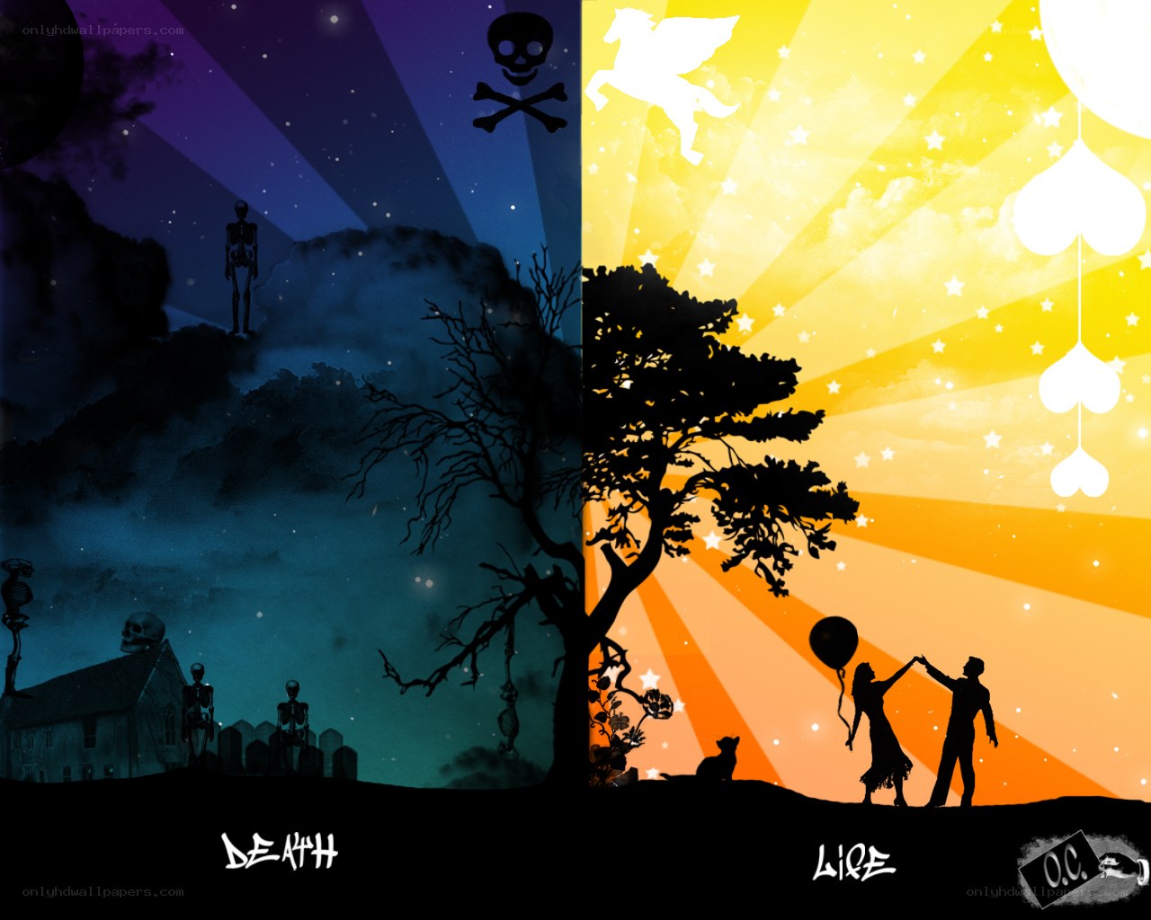 Life and death contrast