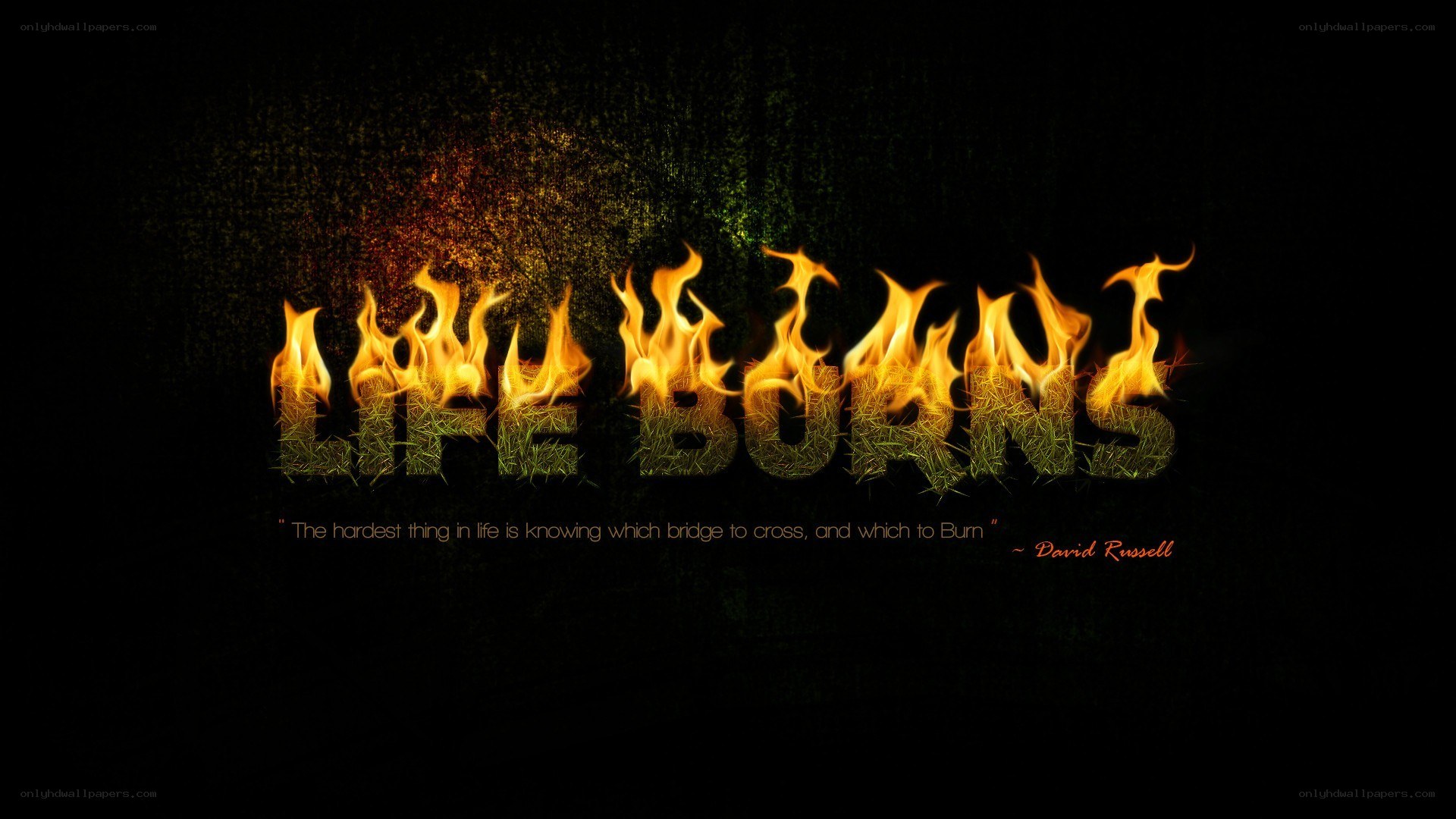 Life Burns quote