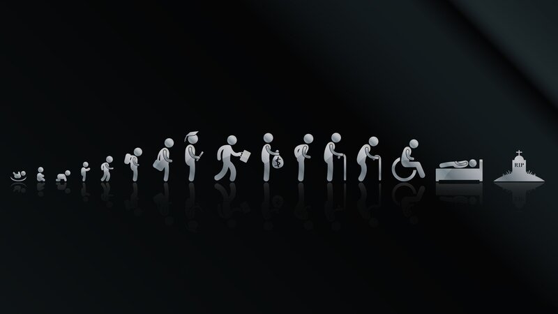 Life Cycle Icons — Black