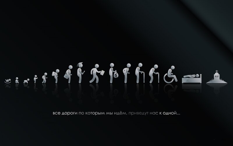 Life Cycle Icons