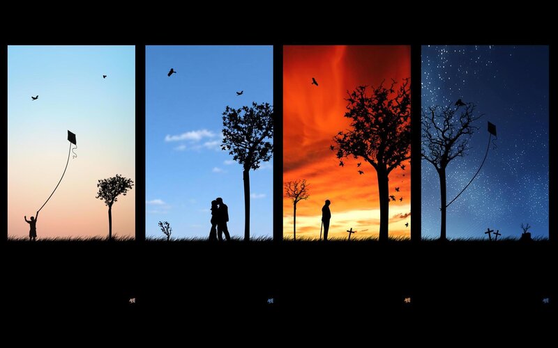 Life cycle in four scenes