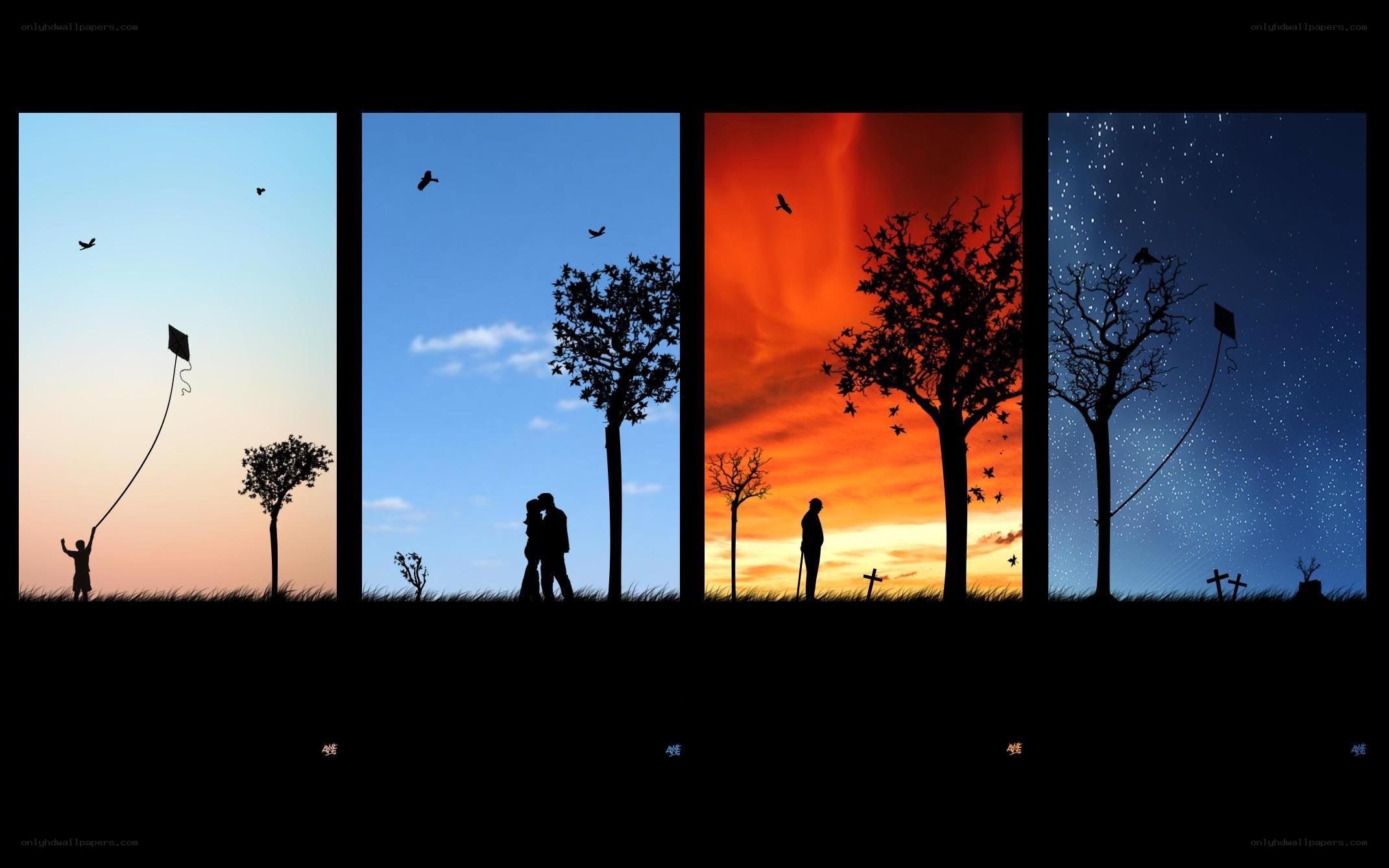 Life cycle in four scenes
