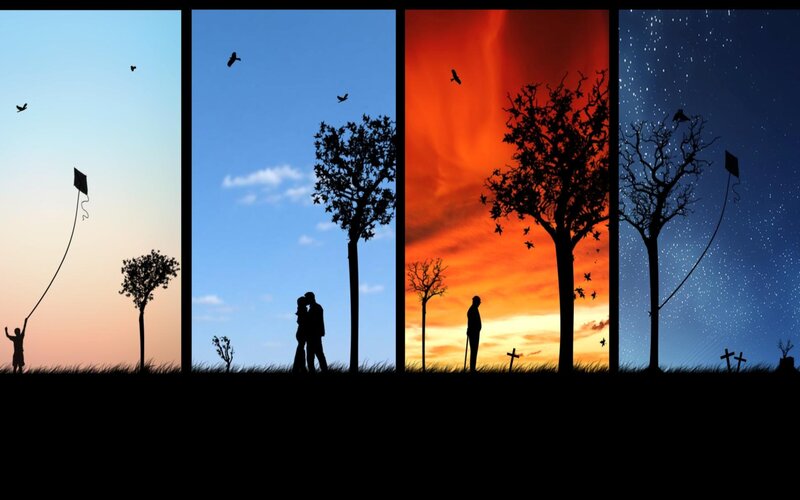 Life cycle in four seasons