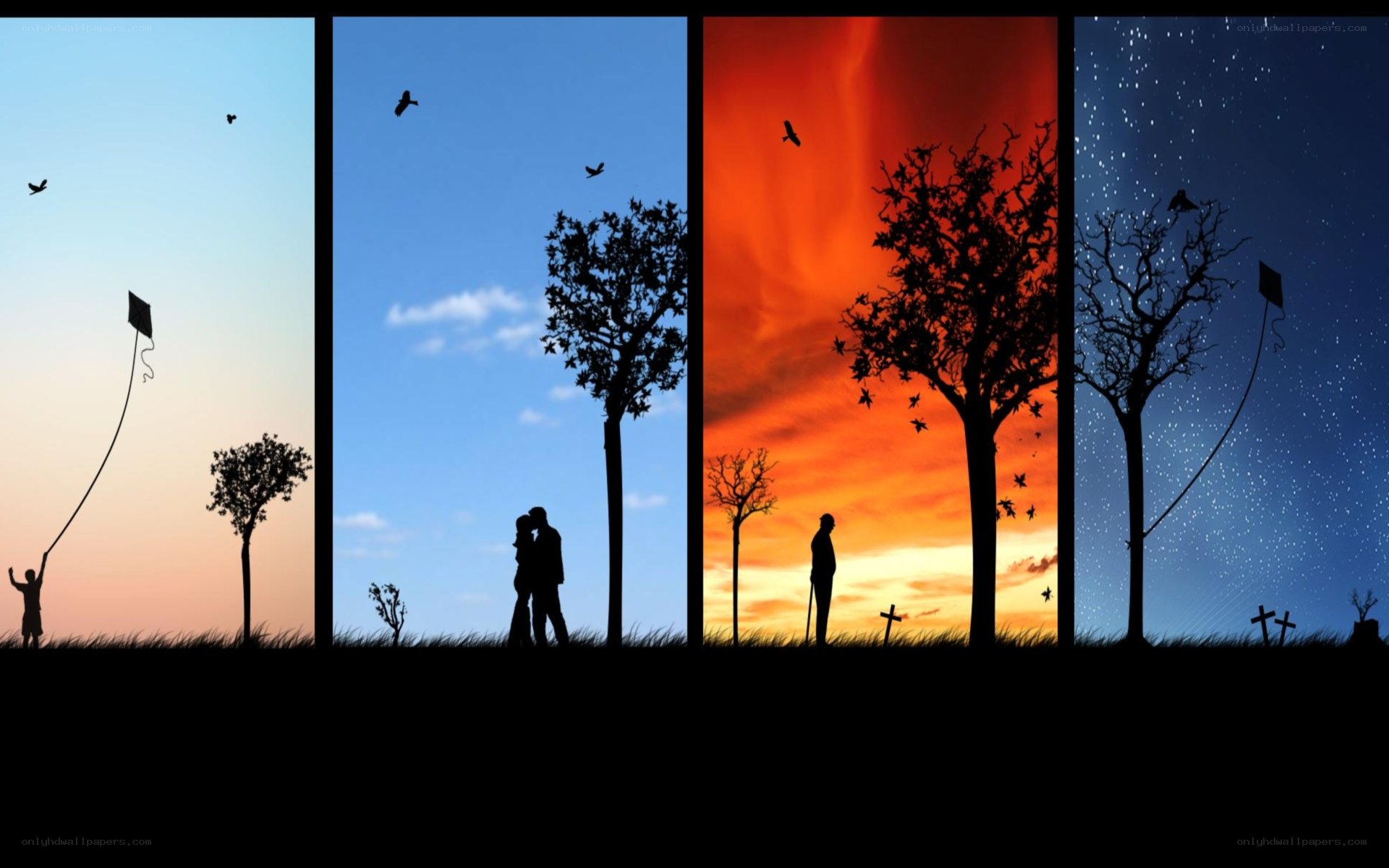 Life cycle in four seasons