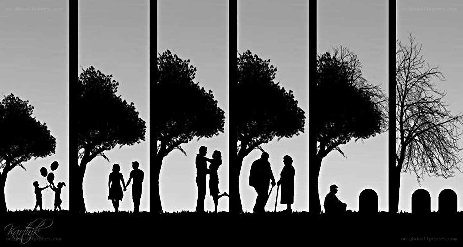 Life cycle silhouette