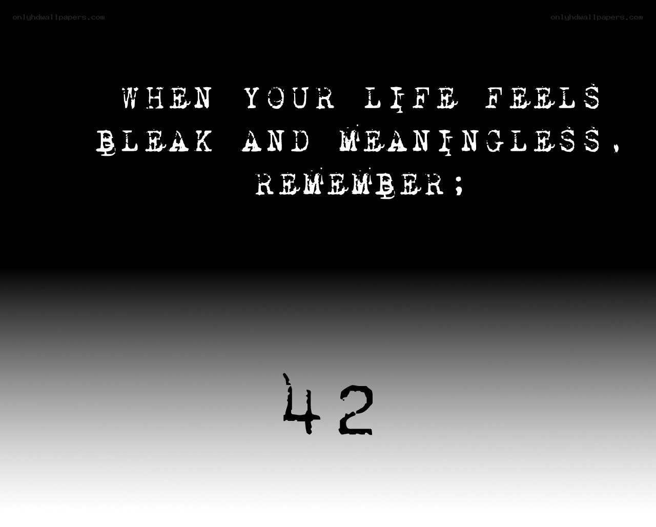 life feels bleak
