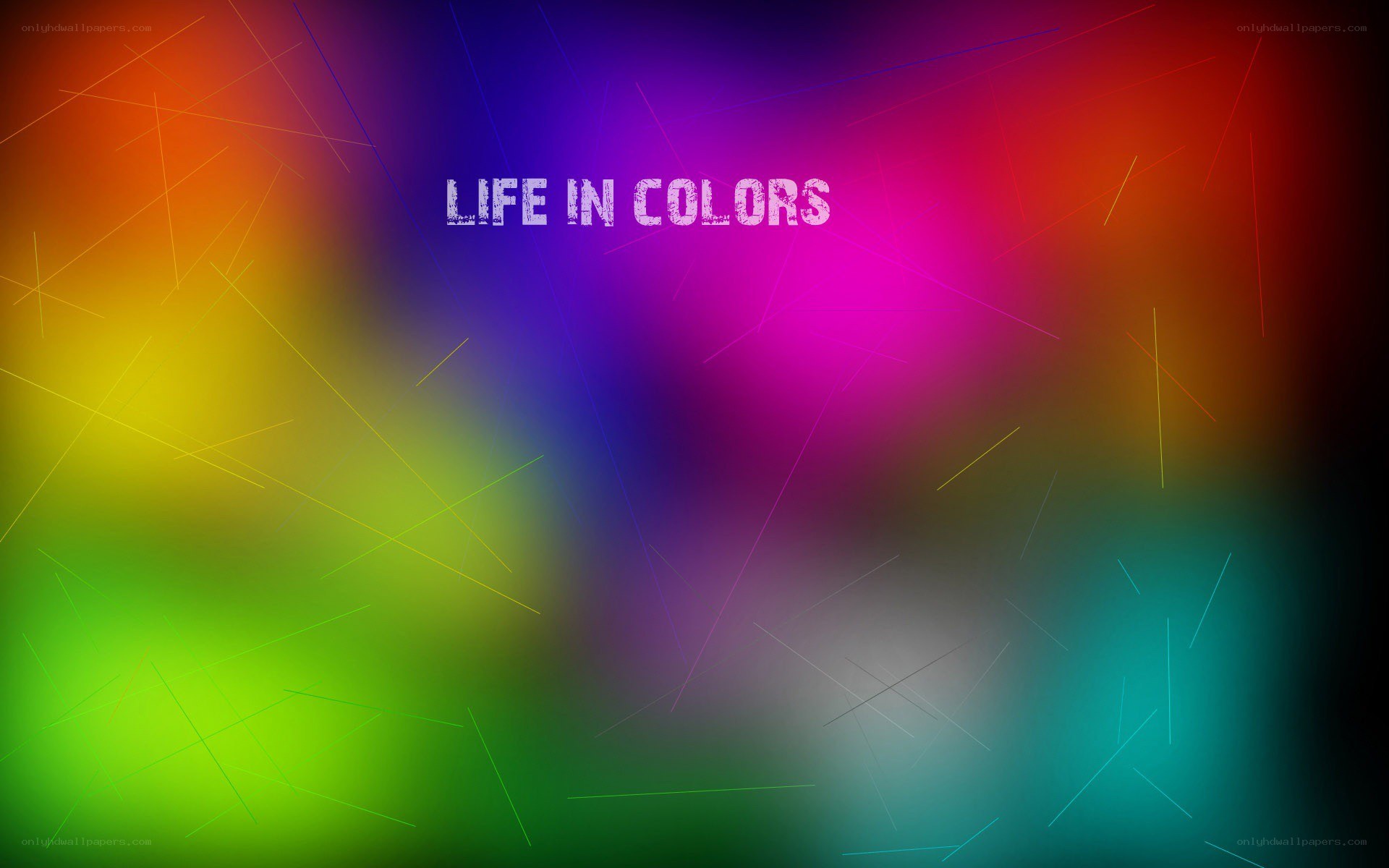life in colors