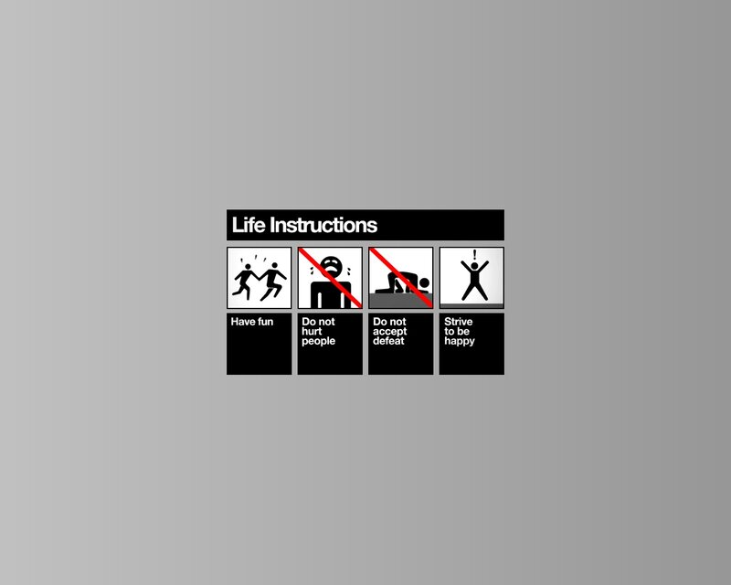 Life Instructions Poster