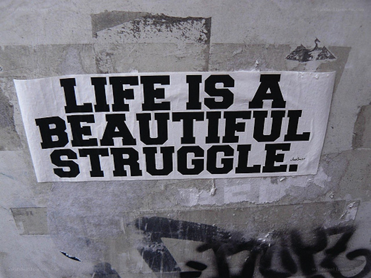 Life is a beautiful struggle