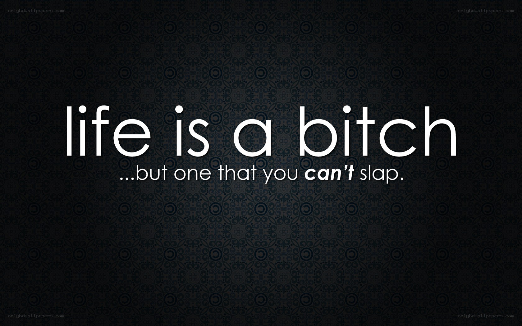 life is a bitch