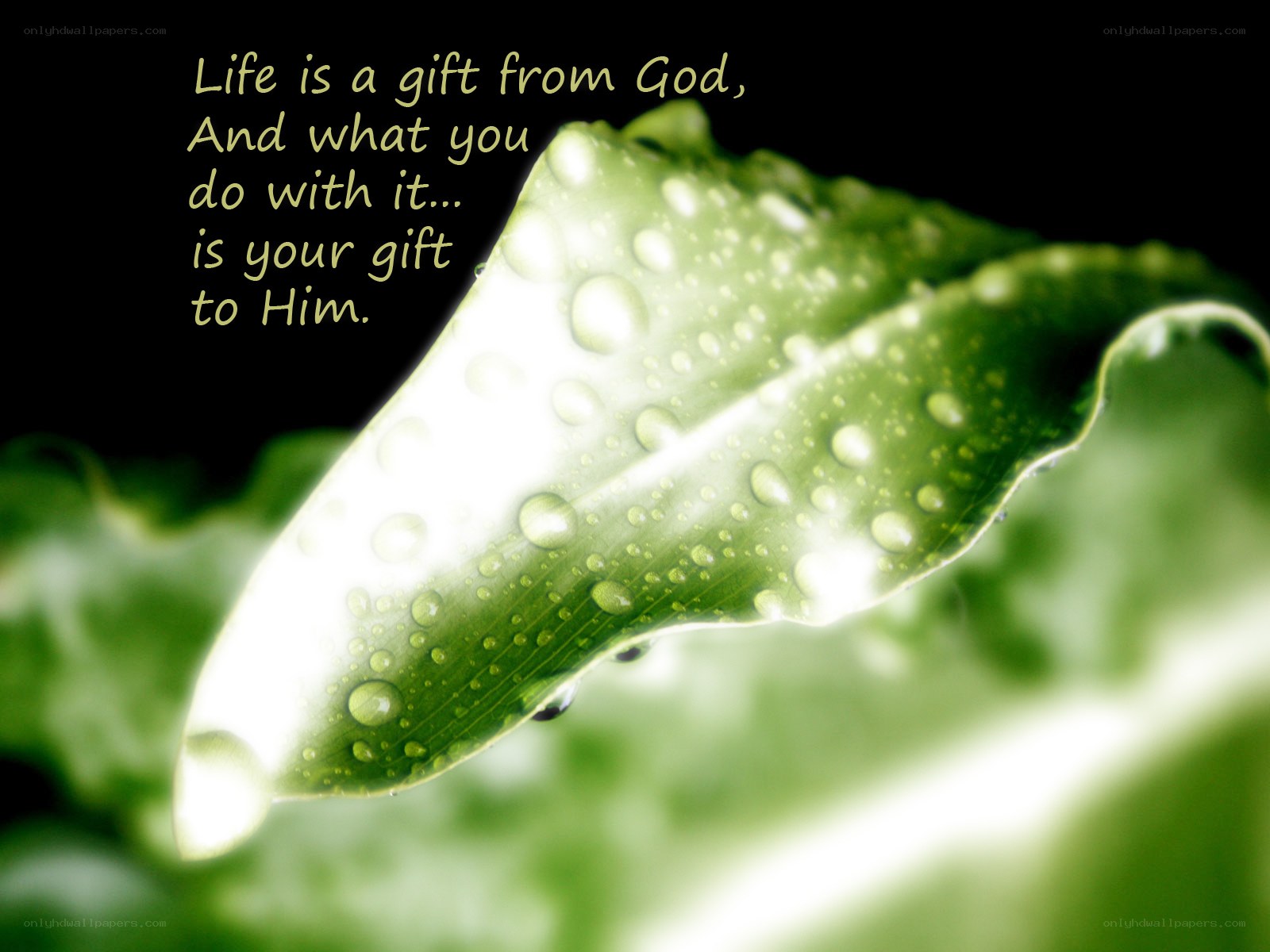 Life is a gift from God