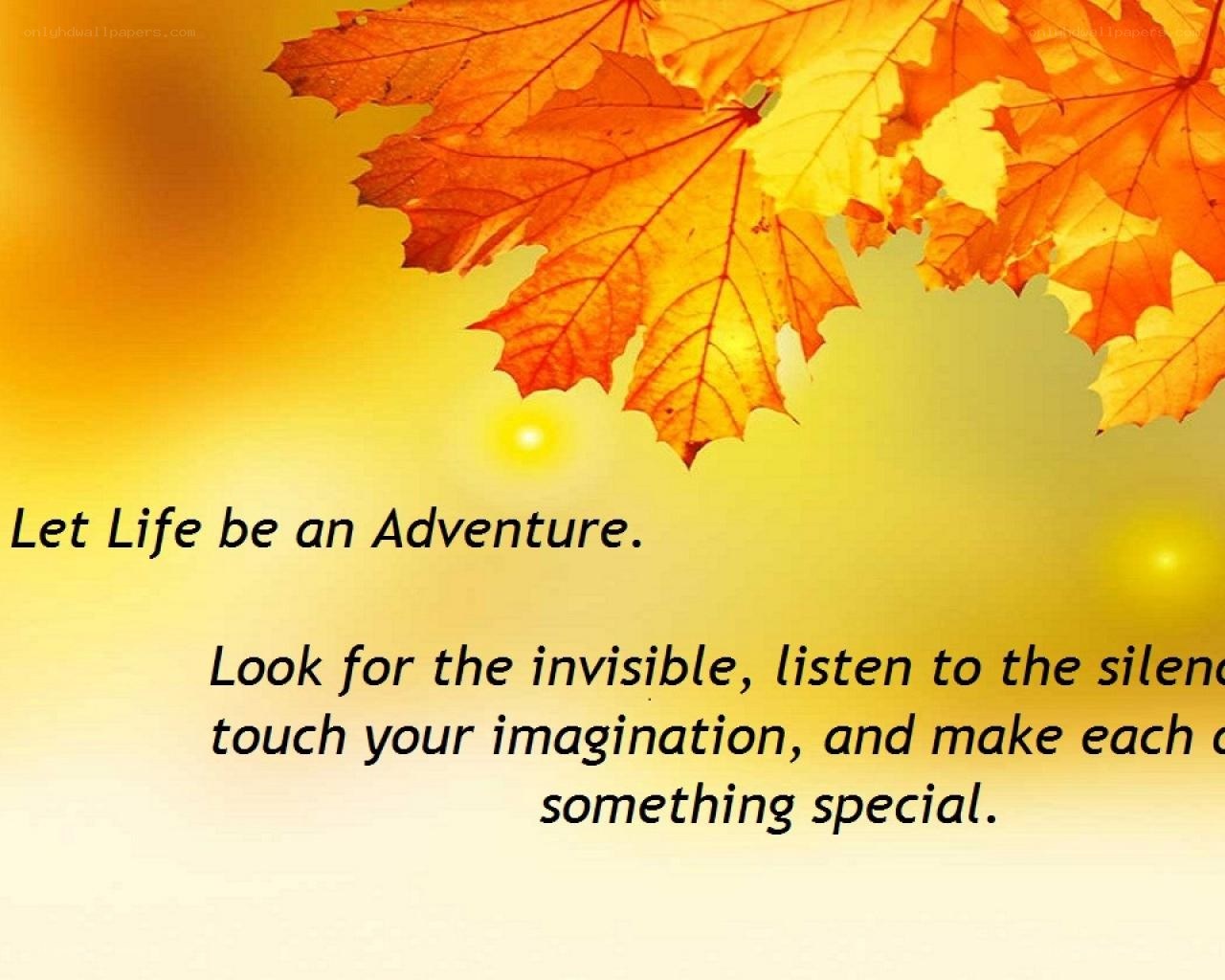 Life is an adventure