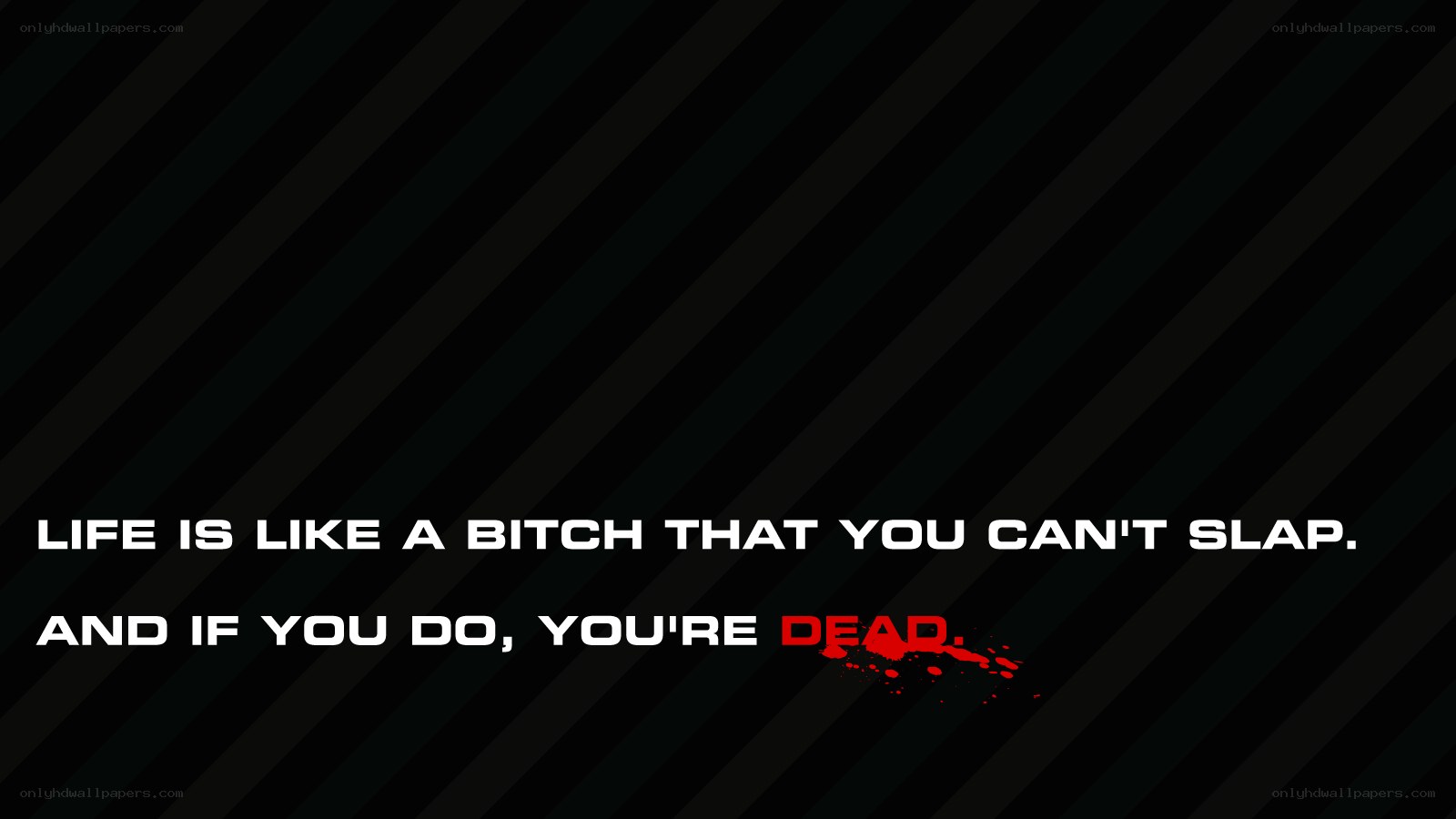 Life is like a bitch