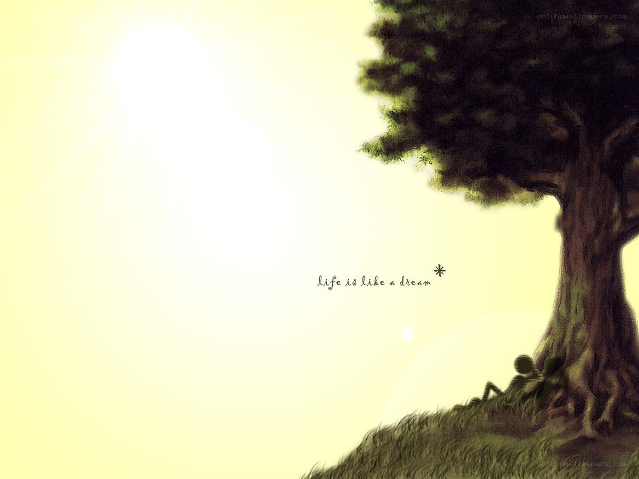 Life is like a dream