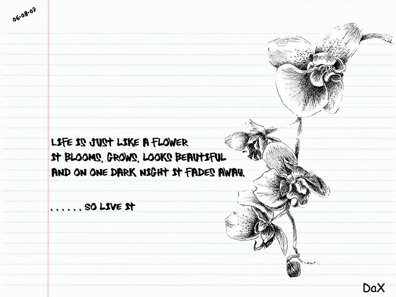 life is like a flower