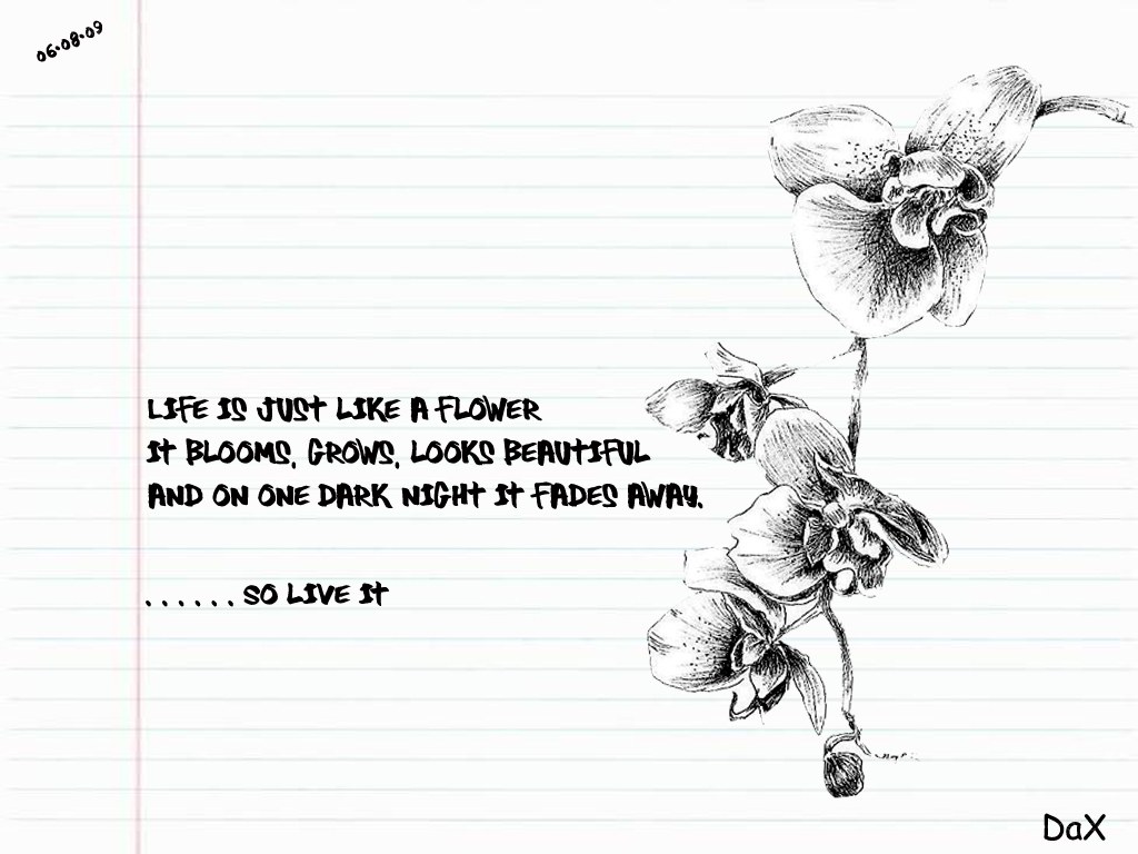 life is like a flower
