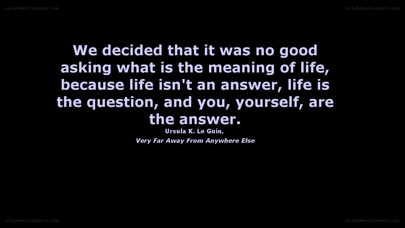 life meaning quote