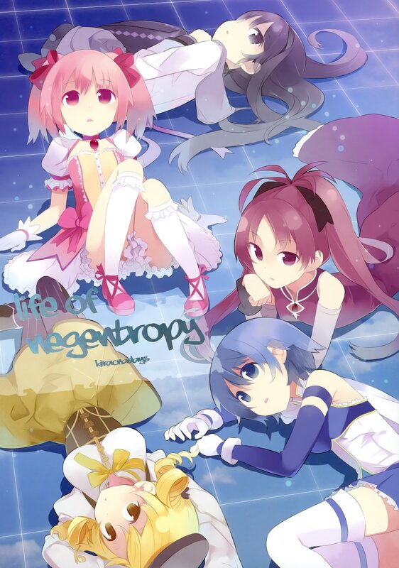 Life of Negentropy