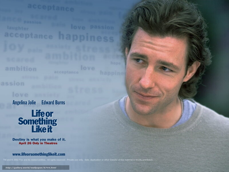 Life or Something Like It