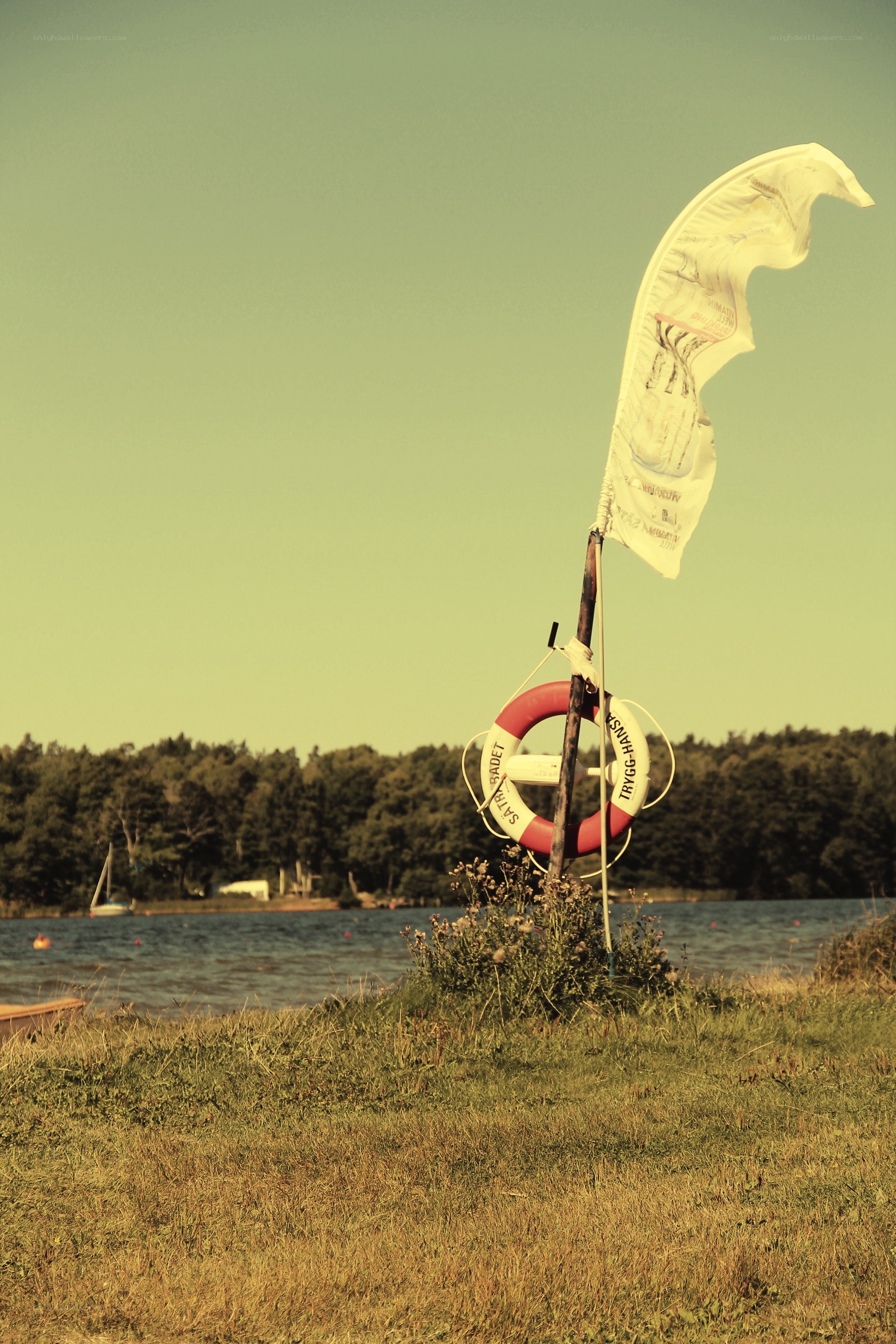 Life preserver on a lakeside
