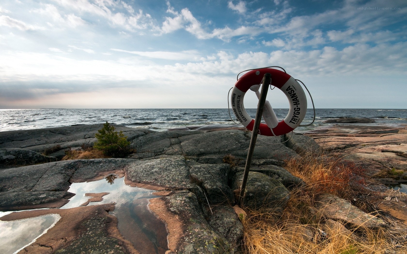 Life preserver on rocky shore