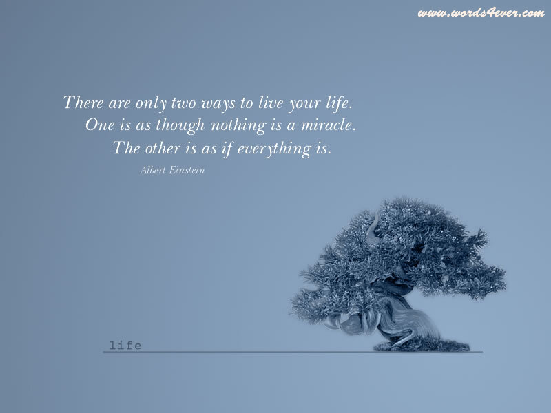 life quote with bonsai tree