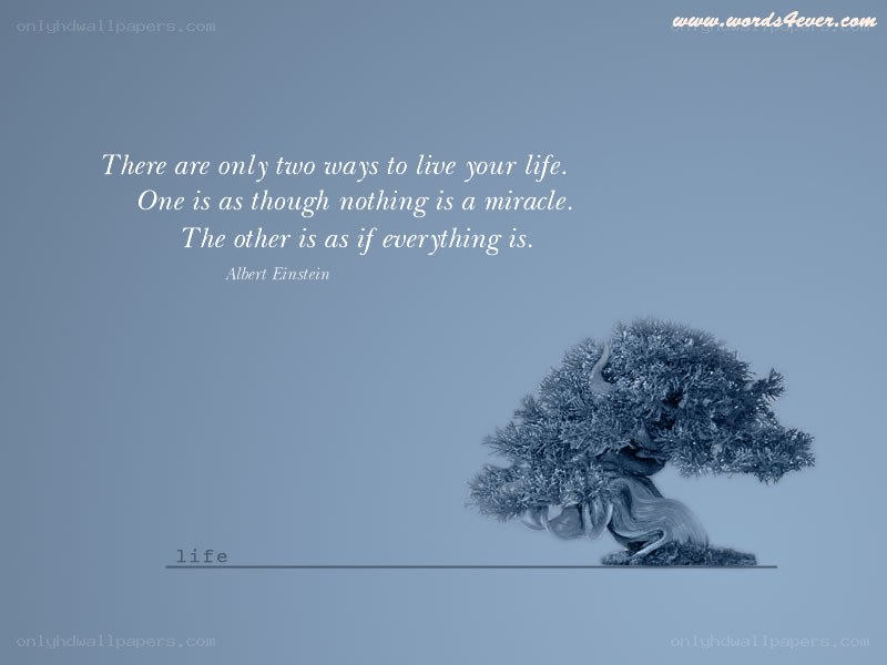 life quote with bonsai tree